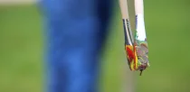 kreativ-workshop-pinsel