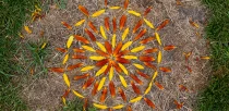landart-blumen
