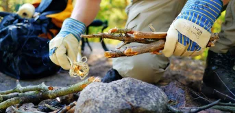survival-camp-brennholz