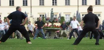 tai-chi-workshop-gesundheit